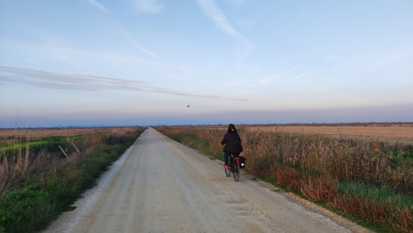 Cycling through the Tagus River Estuary.