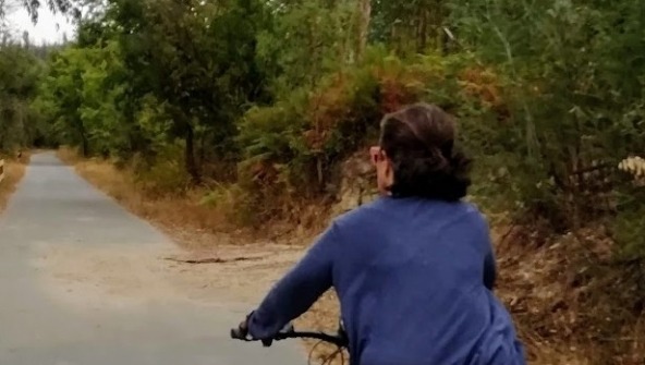 Viseu de Bicicleta - Eco Pista do Dão.
