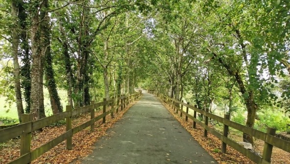 Ecopista do Dão de Bicicleta – O Vídeo.