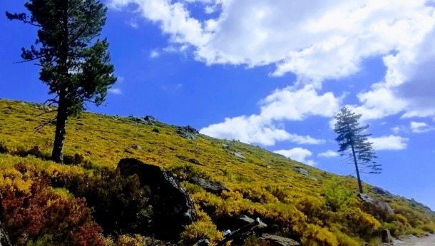 serra_da_estrela_bike-tour-4
