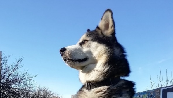 Balu - de Guia de Passeios de Bicicletas, a Top Model.