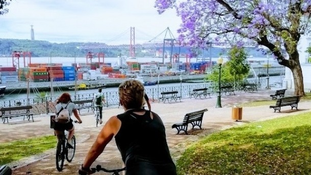 jacaranda-lisbon-2
