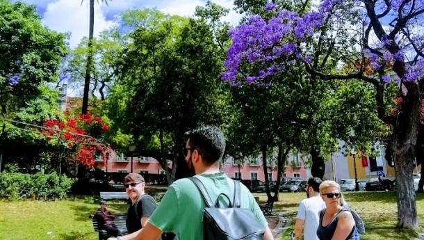 jacaranda-lisbon-1