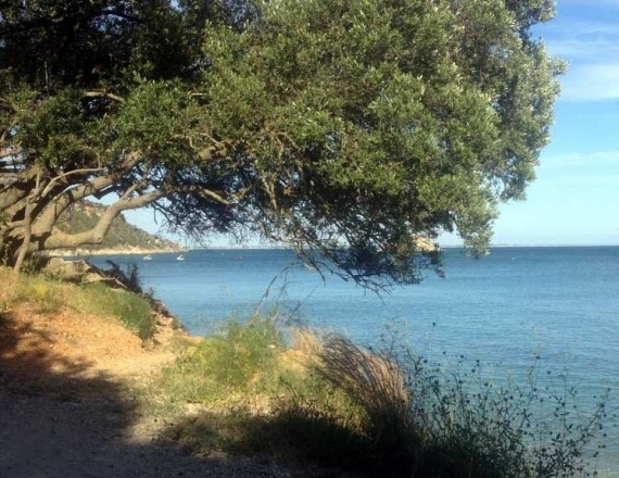 Arrabida_Lisbon_Private_Tours_2a