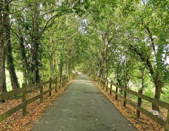 ecopista_dao-bike_tour-59