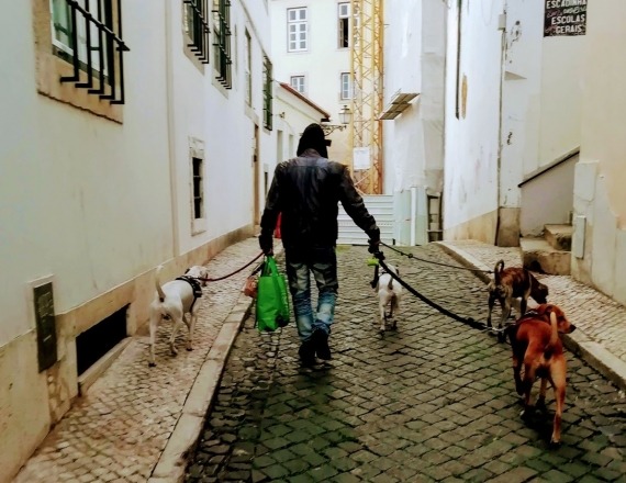 lisbon_viewpoints_by_bike_tour_83