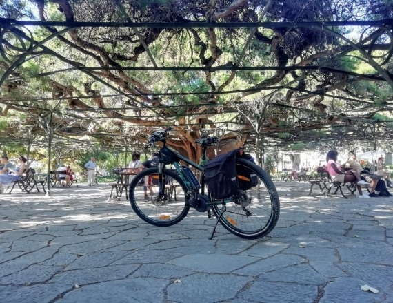 lisbon_viewpoints_by_bike_tour_11