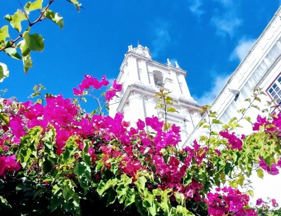 lisbon_viewpoints_by_bike_tour_48