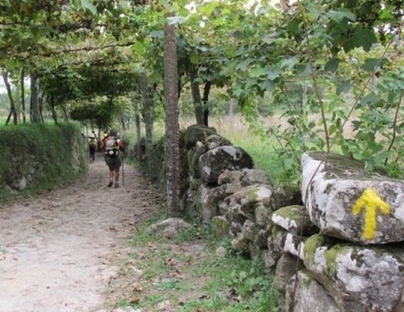 caminho_santiago_portugal_bike-14