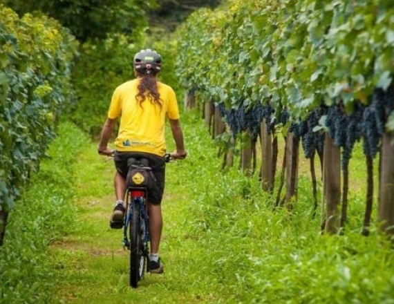 caminho_santiago_portugal_bike-2