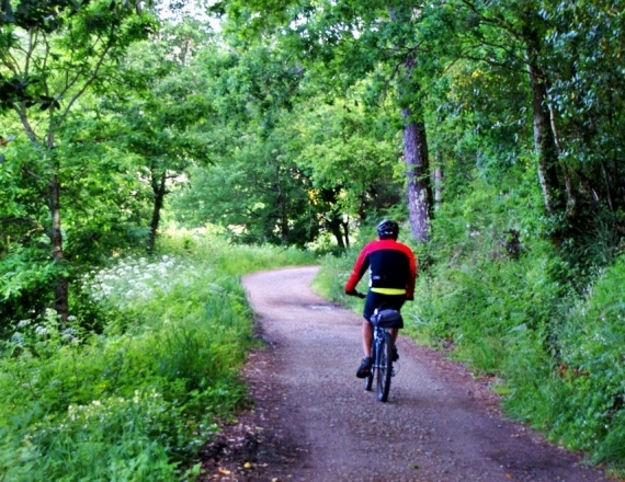 caminho_santiago_portugal_bike-4
