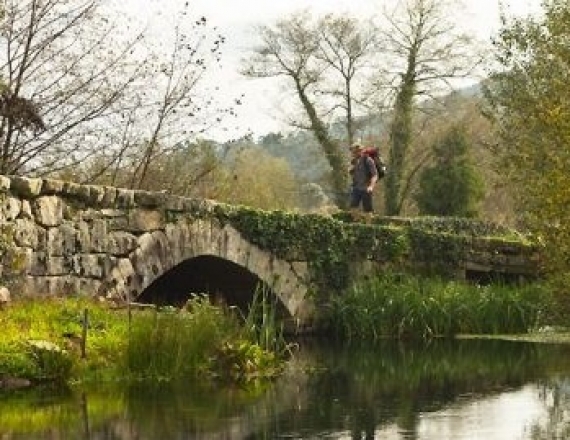 caminho_santiago_portugal_bike-13