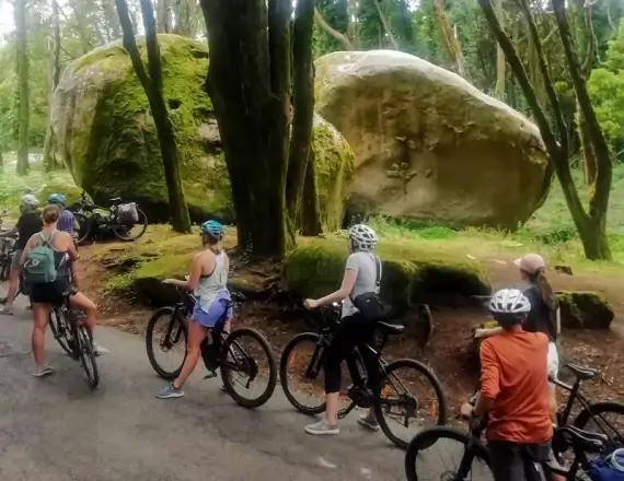 sintra-bike-tour-29