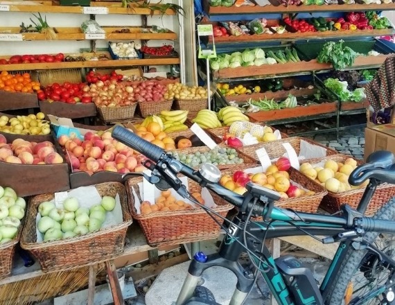 sintra_bike_tour-49