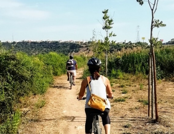 rota_avieiros_bicicleta-3