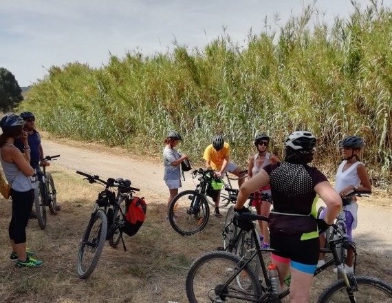 rota_avieiros_bicicleta-4