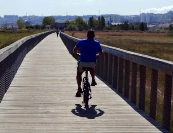 17a - tagus_tejo-lisboa_nature_lisbon_bike_walk_24a