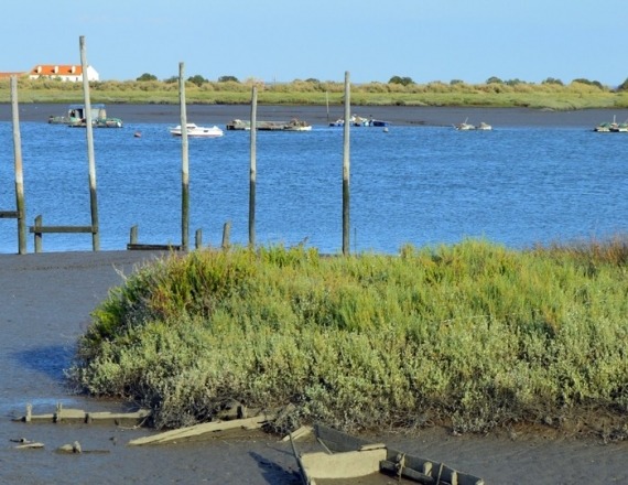 18 - tagus_tejo-lisboa_nature_lisbon_bike_walk_4