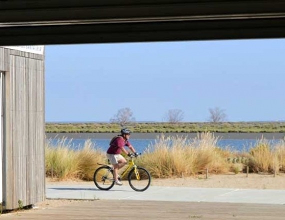 16 - tagus_tejo-lisboa_nature_lisbon_bike_walk_14h