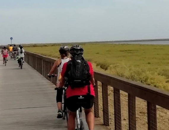 rota_avieiros_bicicleta-8